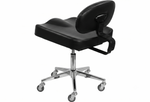 Patented All Purpose Ergonomic Back Support Chair
