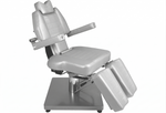 InkChair™ Electric Hydraulic Adjustable Client Chair Bed, Lies Fully Flat (GRY)