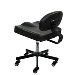 Patented All Purpose Ergonomic Back Support Chair