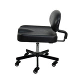Patented All Purpose Ergonomic Back Support Chair